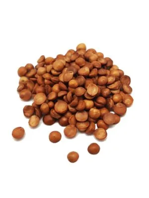 avellana chilena