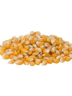 maíz curagua